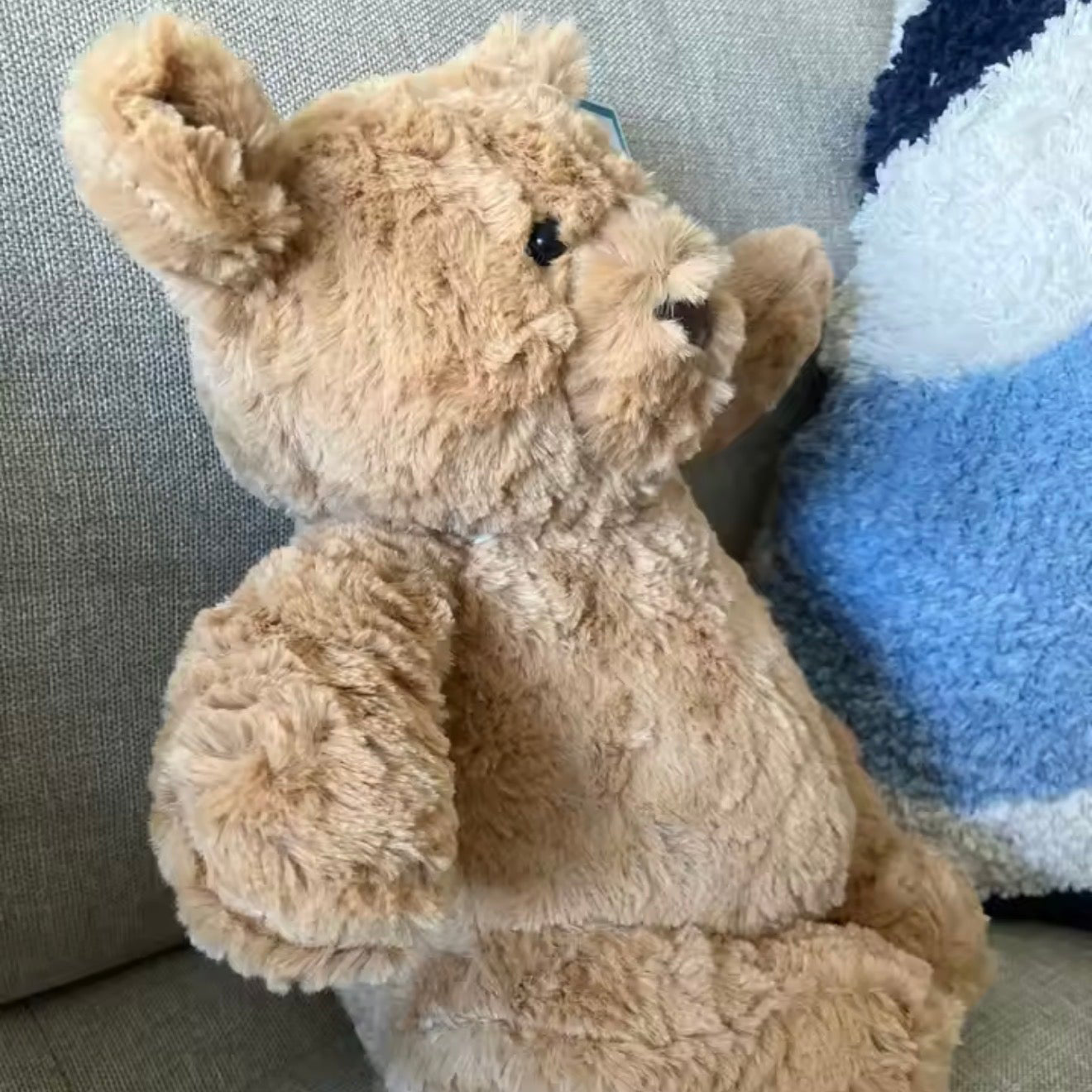 Bartholomew Bear