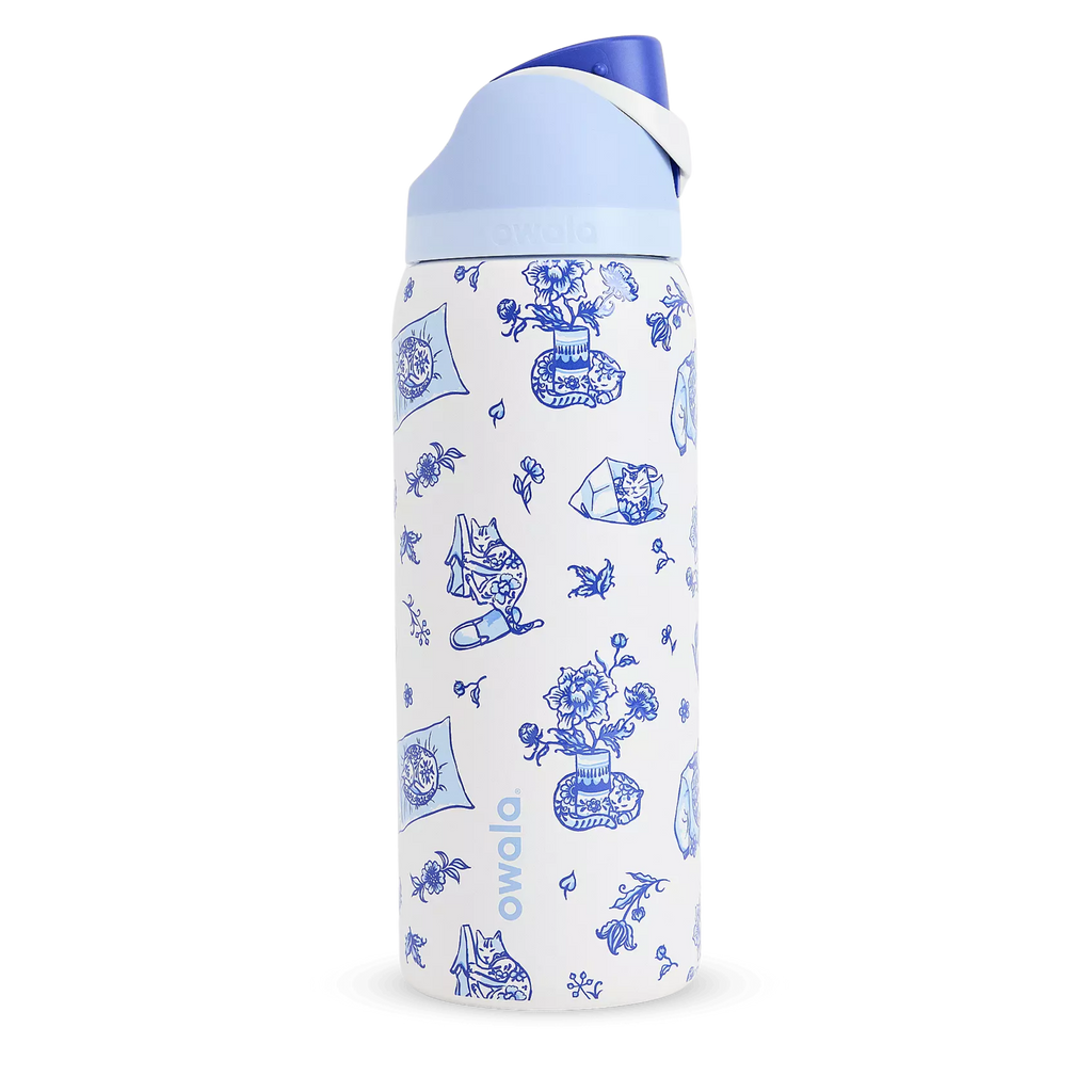 Delft Cat