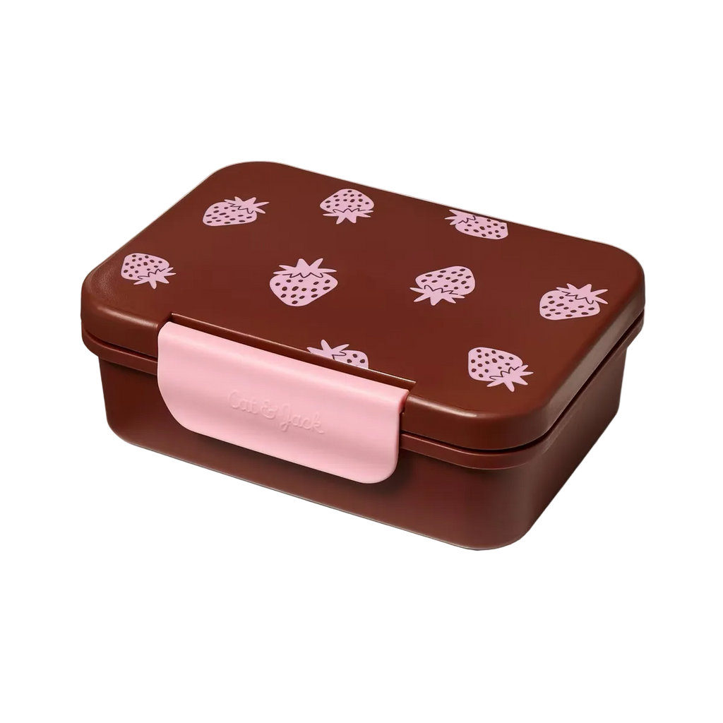 Snack Bento Lunch Box